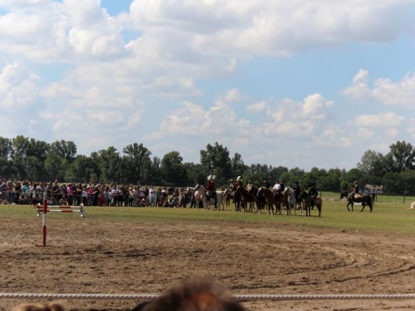 Kurultáj