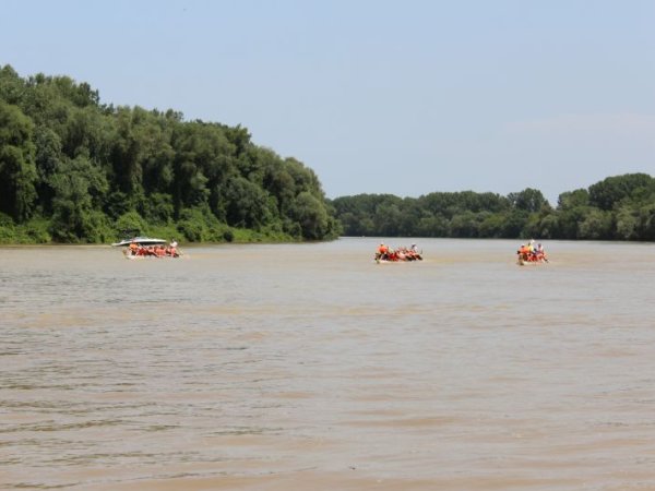 IV. Sárkányhajó Fiesta
