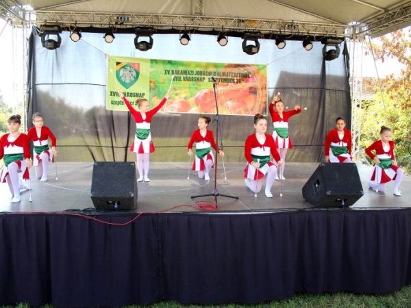 A XVII. Városnap és XV. Almafesztivál képekben