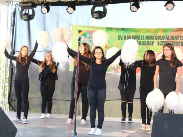 A XVII. Városnap és XV. Almafesztivál képekben