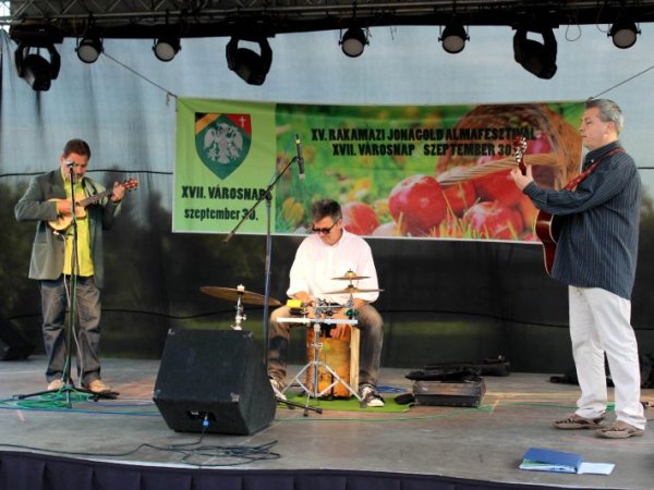 A XVII. Városnap és XV. Almafesztivál képekben