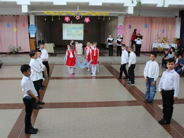 Iskolai Nyuszi Party