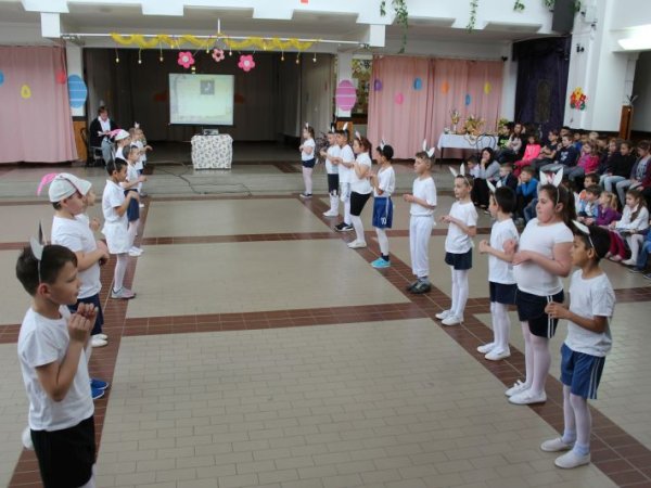 Iskolai Nyuszi Party