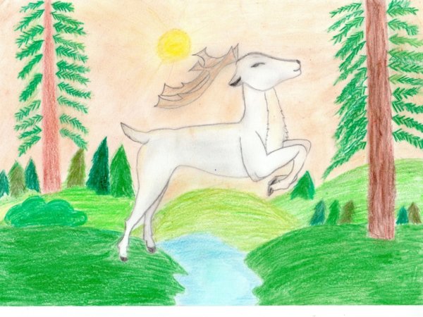 Horváth Lili 6.a 12 éves