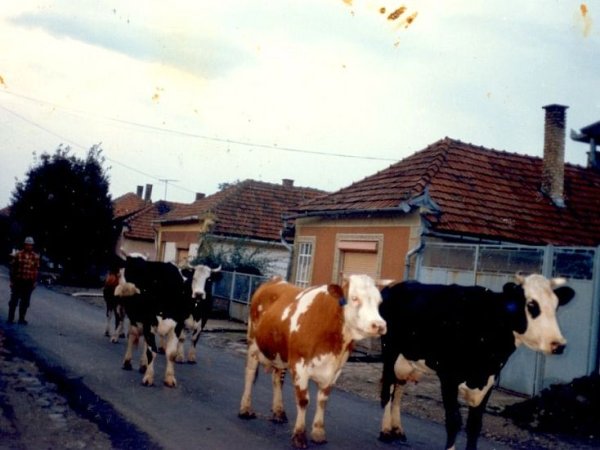 Rakamaz régen