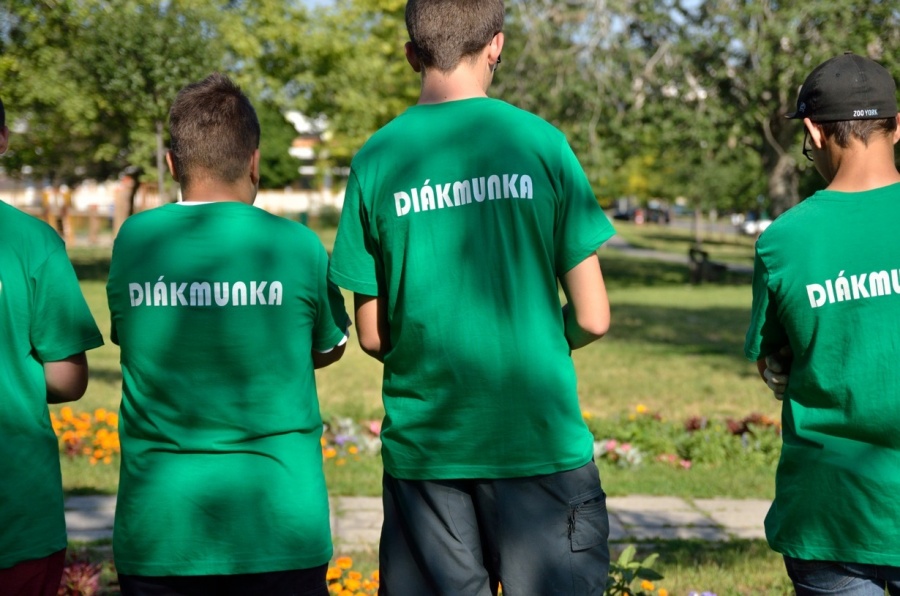 Tájékoztató a „Nyári diákmunka” központi munkaerő-piaci program indításáról