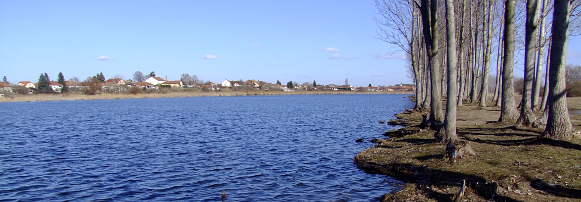 DSCF0050 1150x400